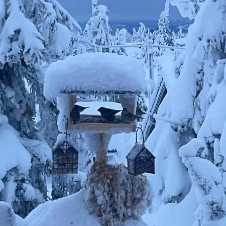 Med Anneks Og Fantastisk Utsikt Pa Ljosheim Holiday home *